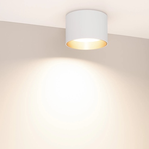 Светильник SP-BISCOTTO-R120-12W Warm3300-MIX (WH-GD, 80 deg, 230V) (Arlight, IP54 Металл, 5 лет)