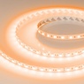 Лента светодиодная RT-B60-10mm 12V Orange (14.4 W/m, IP20, 5060, 5m) (Arlight, Открытый)