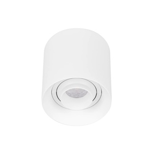 Светильник SP-ACENTO-R95-10W Warm3000 (WH, 20-45 deg, 230V) (Arlight, IP20 Металл, 5 лет)