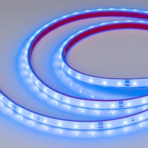 Лента светодиодная герметичная RTW-PFS-A60-11mm 24V Blue (4.8 W/m, IP68, 2835, 5m) (Arlight, 4.8 Вт/м, IP68)