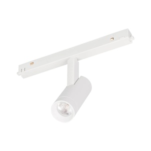 Светильник MAG-ORIENT-SPOT-R35-6W Warm3000 (WH, 24 deg, 48V, DALI) (Arlight, IP20 Металл, 5 лет)