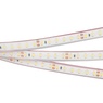 Лента светодиодная RTW 2-5000PGS 24V White 2x (3528, 600 LED, LUX) (Arlight, 9.6 Вт/м, IP67)